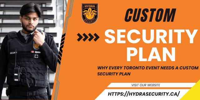 Custom security services 